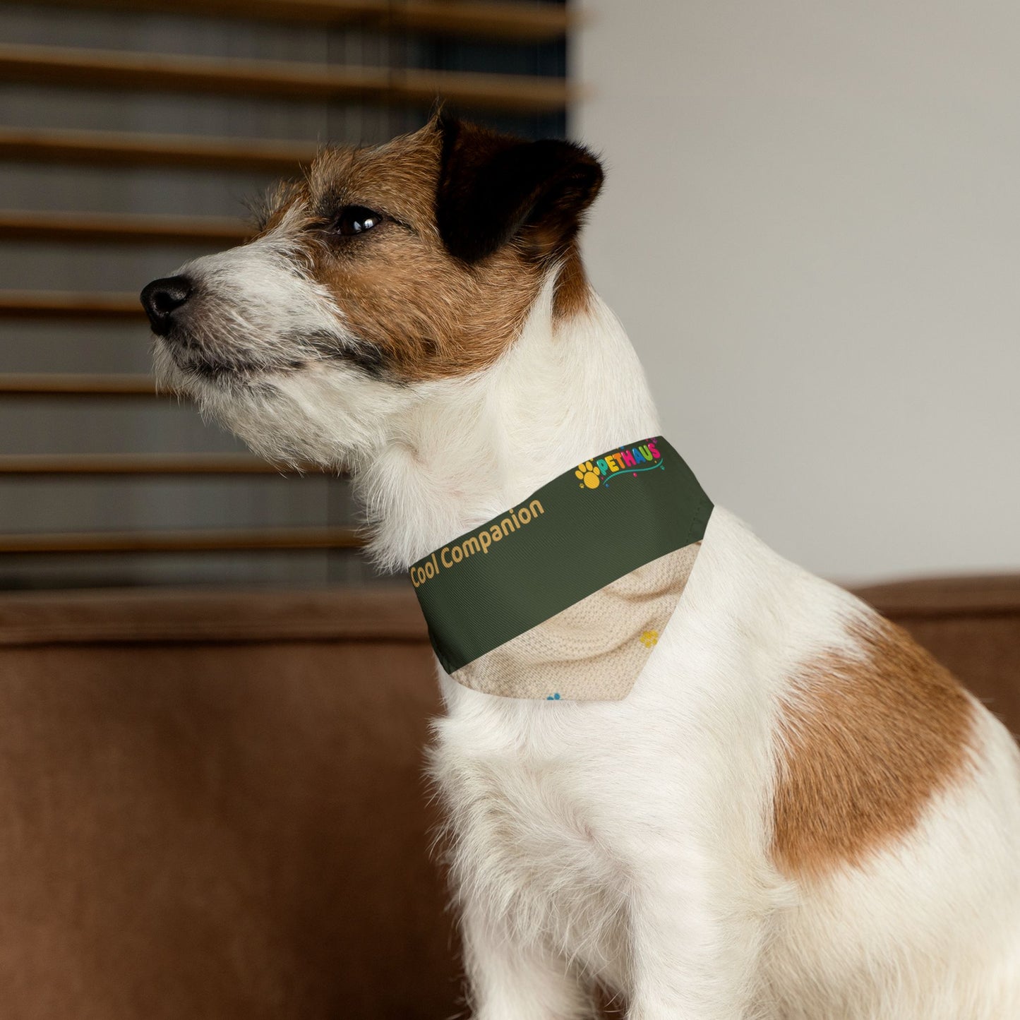Olive Paw Print Pet Bandana Collar – Reversible Cozy Dog & Cat Accessory